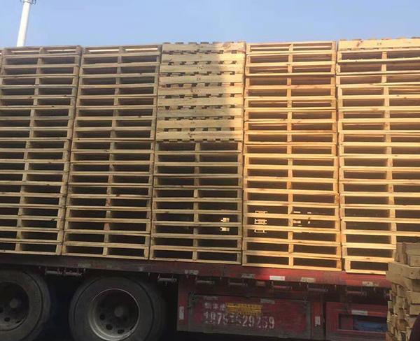 浙江工厂实图